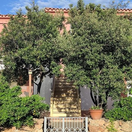 Le Canne - Appartamento "Sole" San Teodoro (Sardinia) Εξωτερικό φωτογραφία